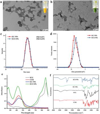 Multifunctional nanomaterials composed entirely of active pharmaceutical ingredients for synergistically enhanced antitumor and antibacterial effects